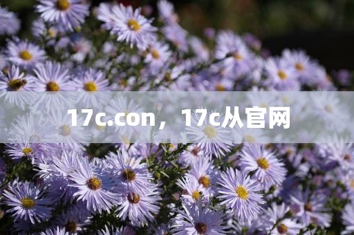 17c.con，17c从官网
