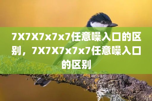 7X7X7x7x7任意噪入口的区别，7X7X7x7x7任意噪入口的区别