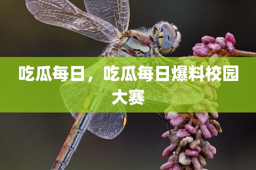 吃瓜每日，吃瓜每日爆料校园大赛