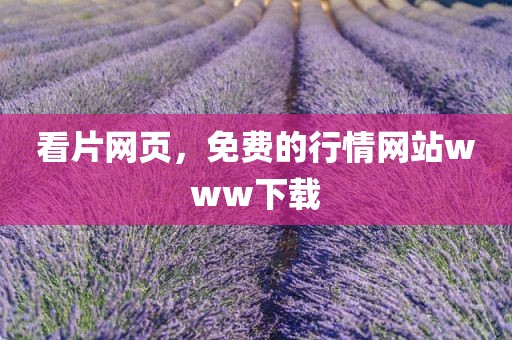 看片网页，免费的行情网站www下载