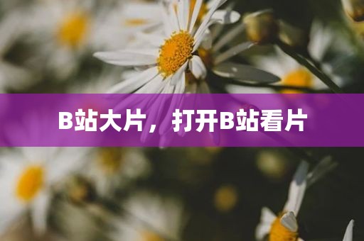 B站大片，打开B站看片