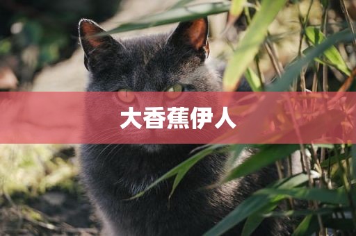 大香蕉伊人