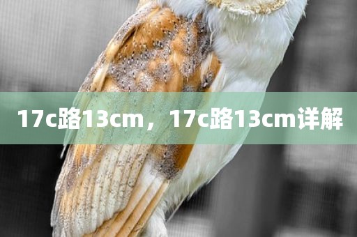 17c路13cm，17c路13cm详解