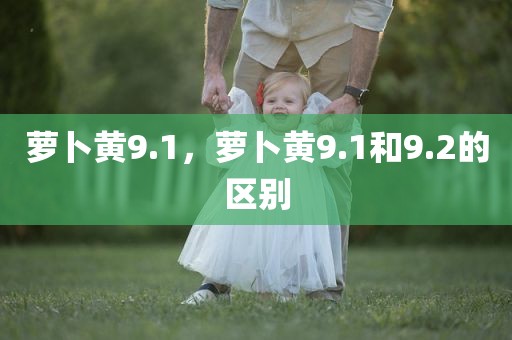萝卜黄9.1，萝卜黄9.1和9.2的区别