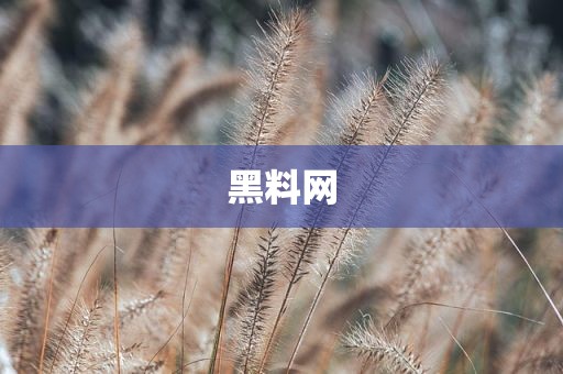 黑料网