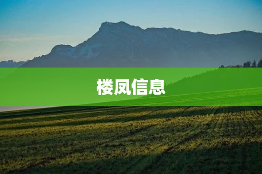 楼凤信息