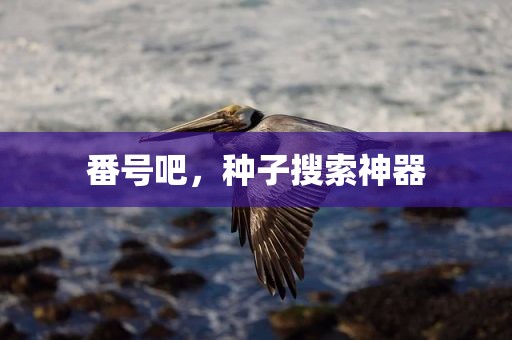 番号吧，种子搜索神器