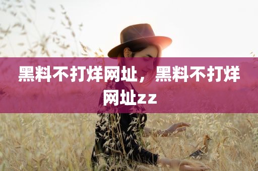 黑料不打烊网址，黑料不打烊网址zz