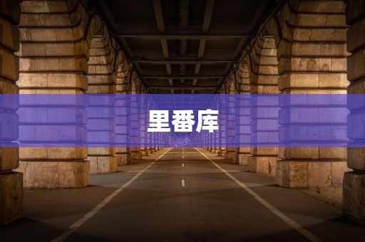 里番库