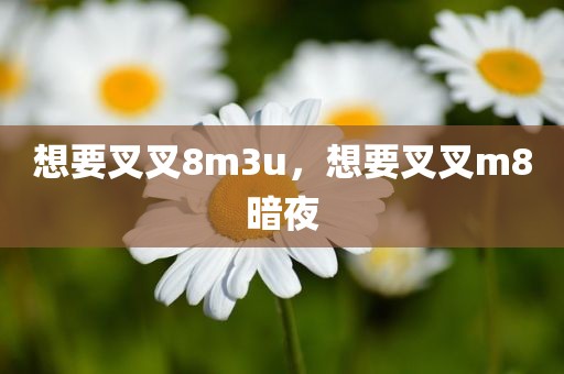 想要叉叉8m3u，想要叉叉m8暗夜