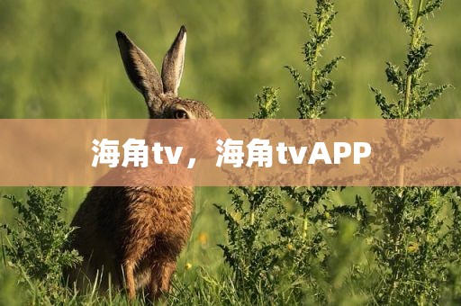 海角tv，海角tvAPP