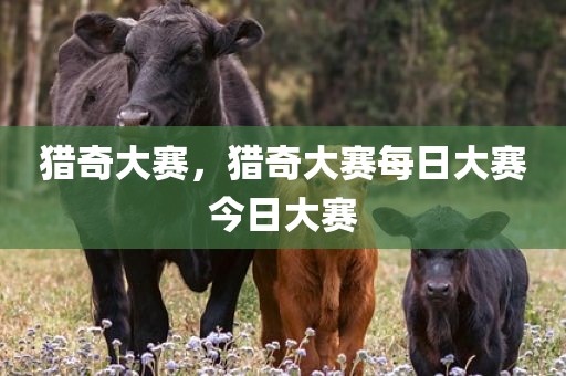 猎奇大赛，猎奇大赛每日大赛今日大赛