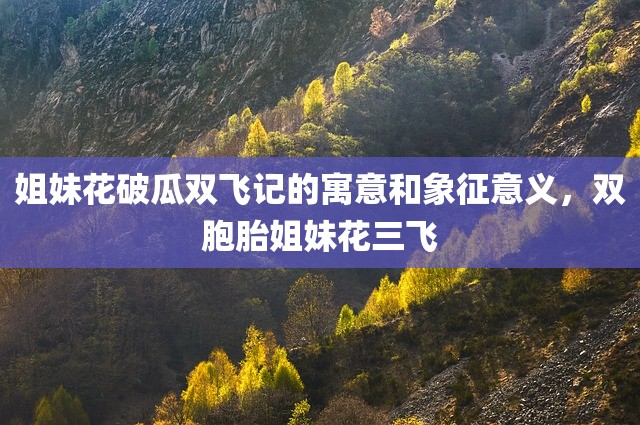 姐妹花破瓜双飞记的寓意和象征意义，双胞胎姐妹花三飞