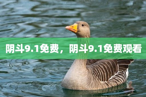 阴斗9.1免费，阴斗9.1免费观看