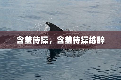 含羞待操，含羞待操练辞