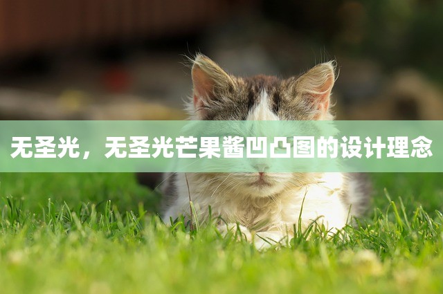 无圣光，无圣光芒果酱凹凸图的设计理念