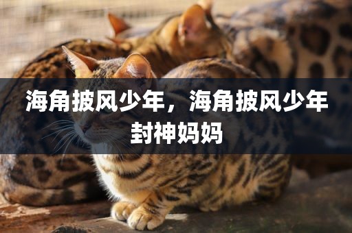 海角披风少年，海角披风少年封神妈妈