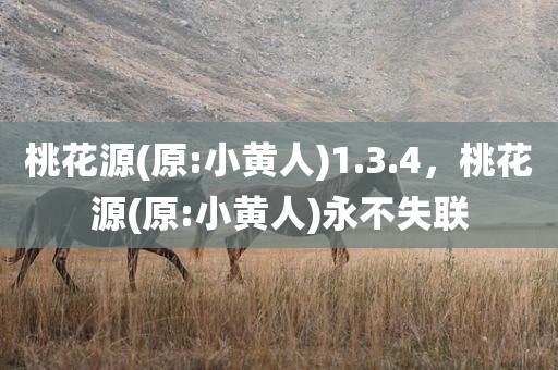 桃花源(原:小黄人)1.3.4，桃花源(原:小黄人)永不失联