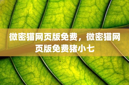 微密猫网页版免费，微密猫网页版免费猪小七