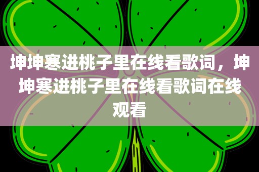 坤坤寒进桃子里在线看歌词，坤坤寒进桃子里在线看歌词在线观看