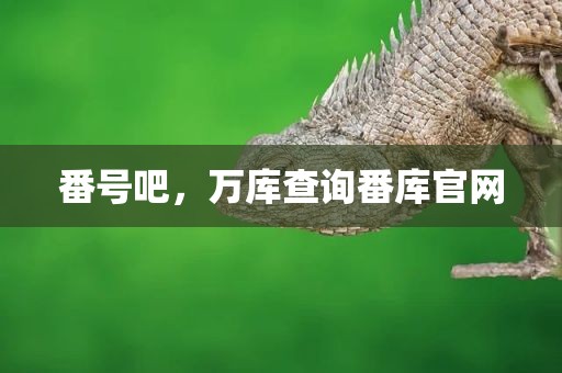 番号吧，万库查询番库官网