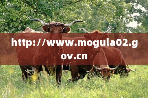 http://www.mogula02.gov.cn