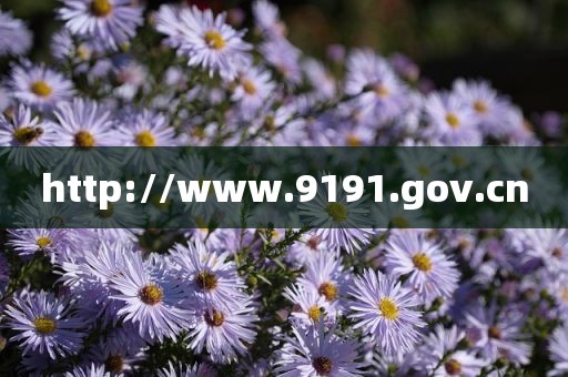 http://www.9191.gov.cn