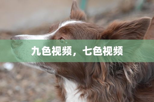 九色视频，七色视频