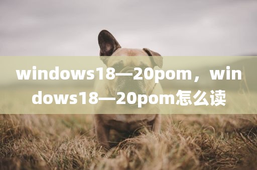 windows18—20pom，windows18—20pom怎么读