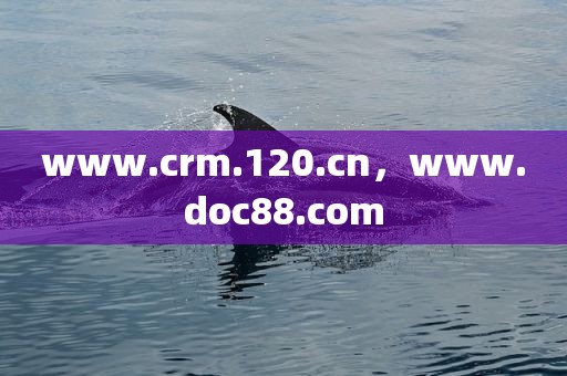 www.crm.120.cn，www.doc88.com