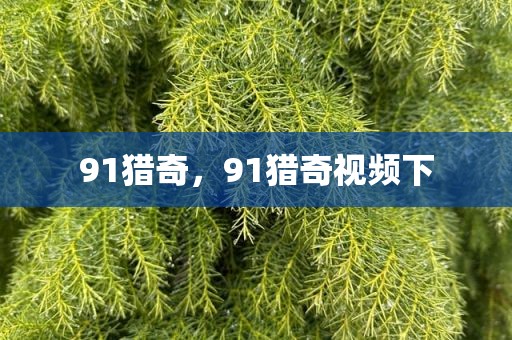 91猎奇，91猎奇视频下