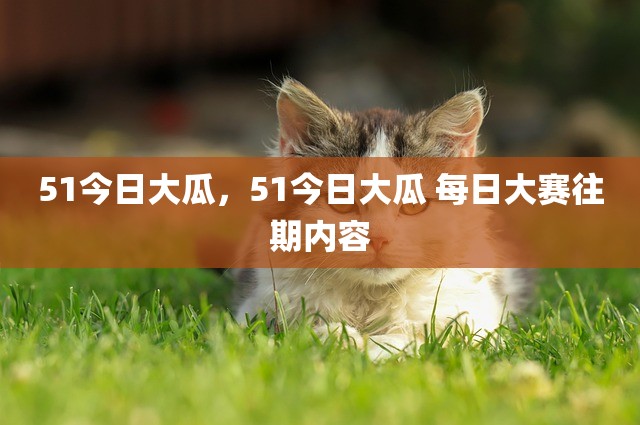 51今日大瓜，51今日大瓜 每日大赛往期内容