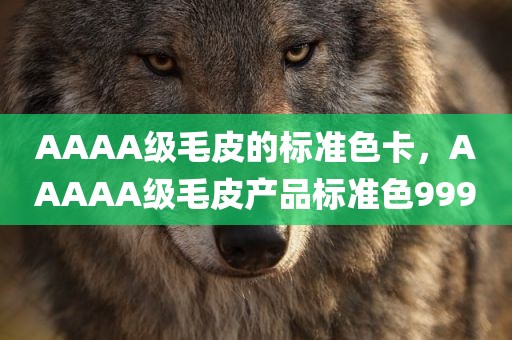 AAAA级毛皮的标准色卡，AAAAA级毛皮产品标准色999