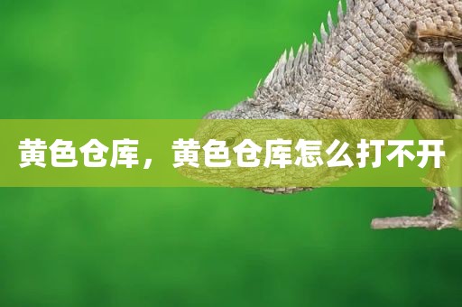 黄色仓库，黄色仓库怎么打不开