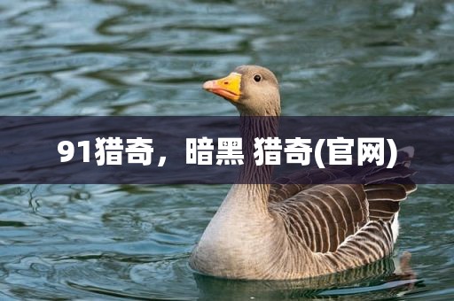 91猎奇，暗黑 猎奇(官网)