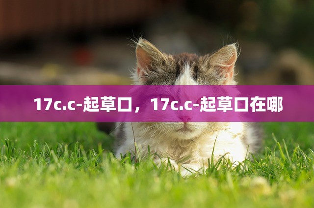 17c.c-起草口，17c.c-起草口在哪