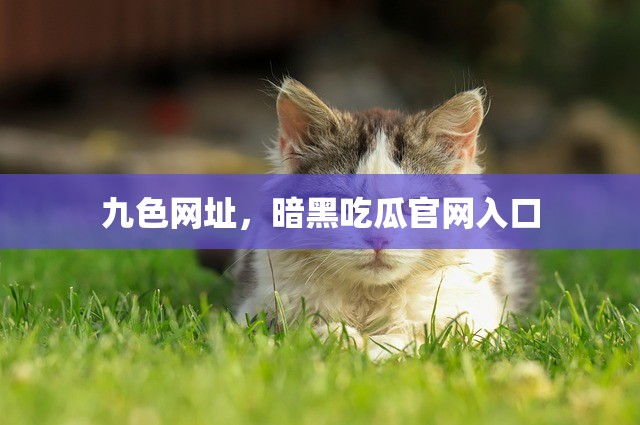 九色网址，暗黑吃瓜官网入口