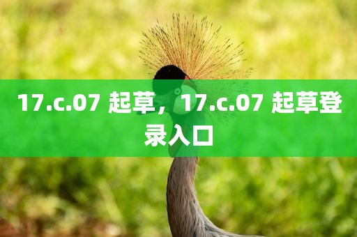 17.c.07 起草，17.c.07 起草登录入口