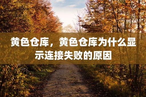 黄色仓库，黄色仓库为什么显示连接失败的原因