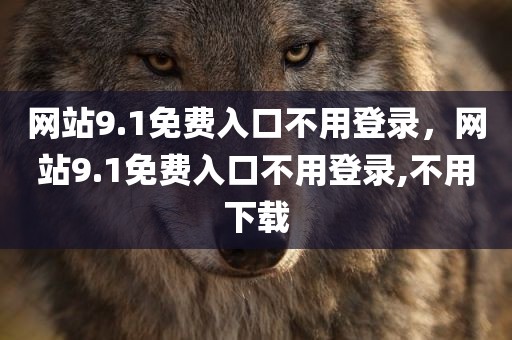 网站9.1免费入口不用登录，网站9.1免费入口不用登录,不用下载