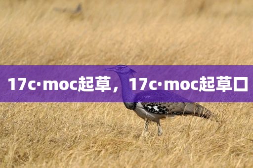 17c·moc起草，17c·moc起草口