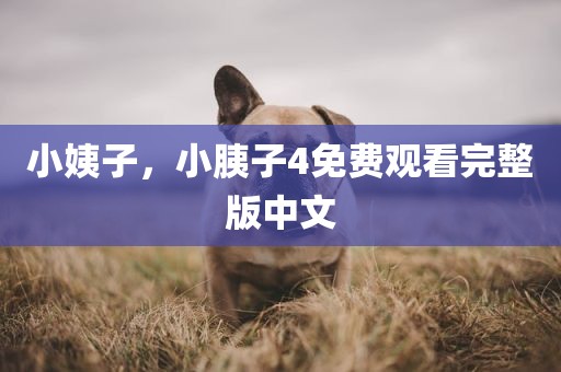 小姨子，小胰子4免费观看完整版中文