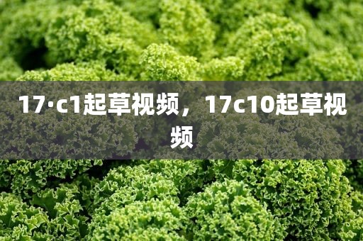 17·c1起草视频，17c10起草视频