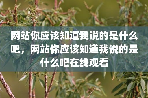 网站你应该知道我说的是什么吧，网站你应该知道我说的是什么吧在线观看