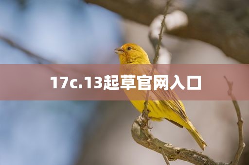 17c.13起草官网入口