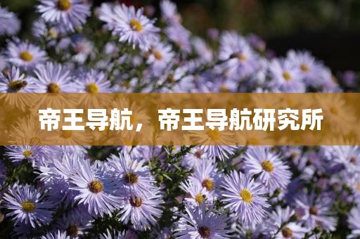 帝王导航，帝王导航研究所