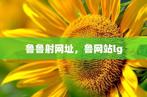 鲁鲁射网址，鲁网站lg