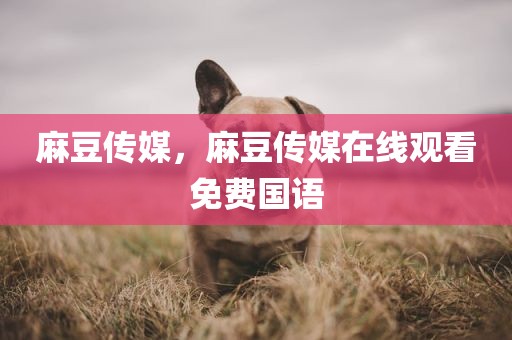 麻豆传媒，麻豆传媒在线观看免费国语