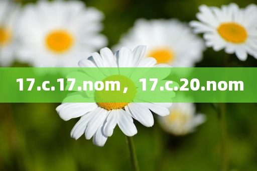17.c.17.nom，17.c.20.nom