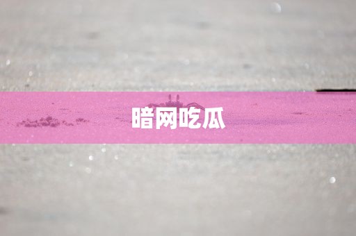 暗网吃瓜